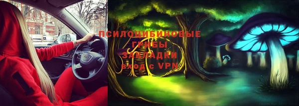 прущие грибы Алзамай