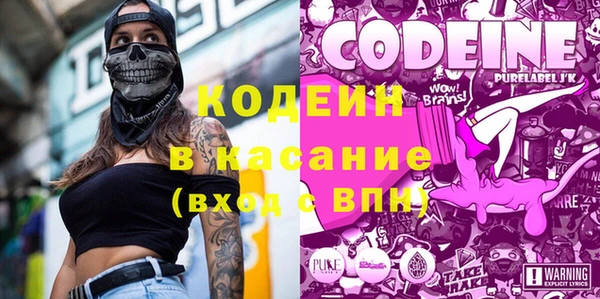 прущие грибы Алзамай
