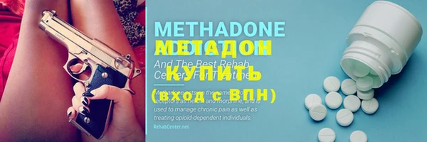 стаф Алексин