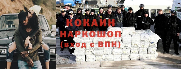 прущие грибы Алзамай