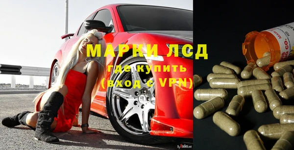 прущие грибы Алзамай
