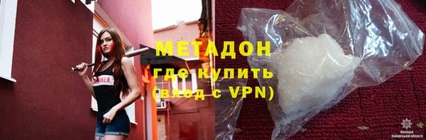 прущие грибы Алзамай