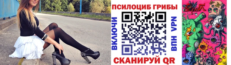 где купить наркотик  Харабали  Псилоцибиновые грибы Cubensis 